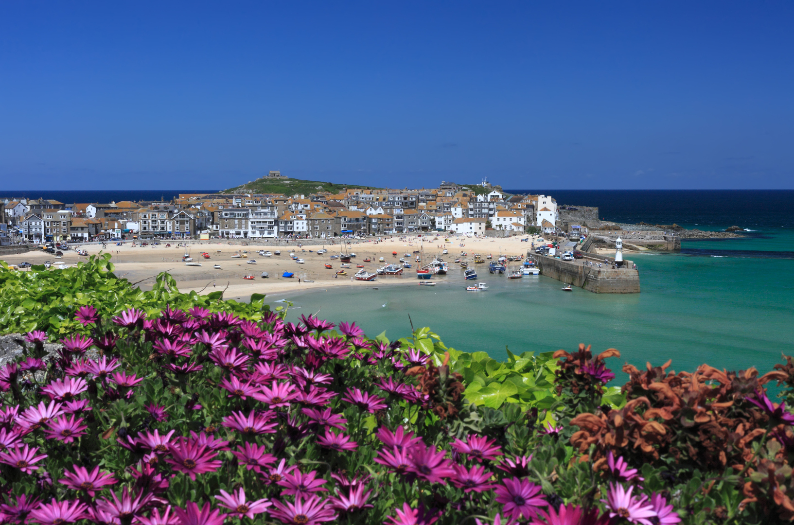 View of St Ives, Cornwall from the Malakoff lookout, showing the town, harbor, beach, and flowers in the foreground.